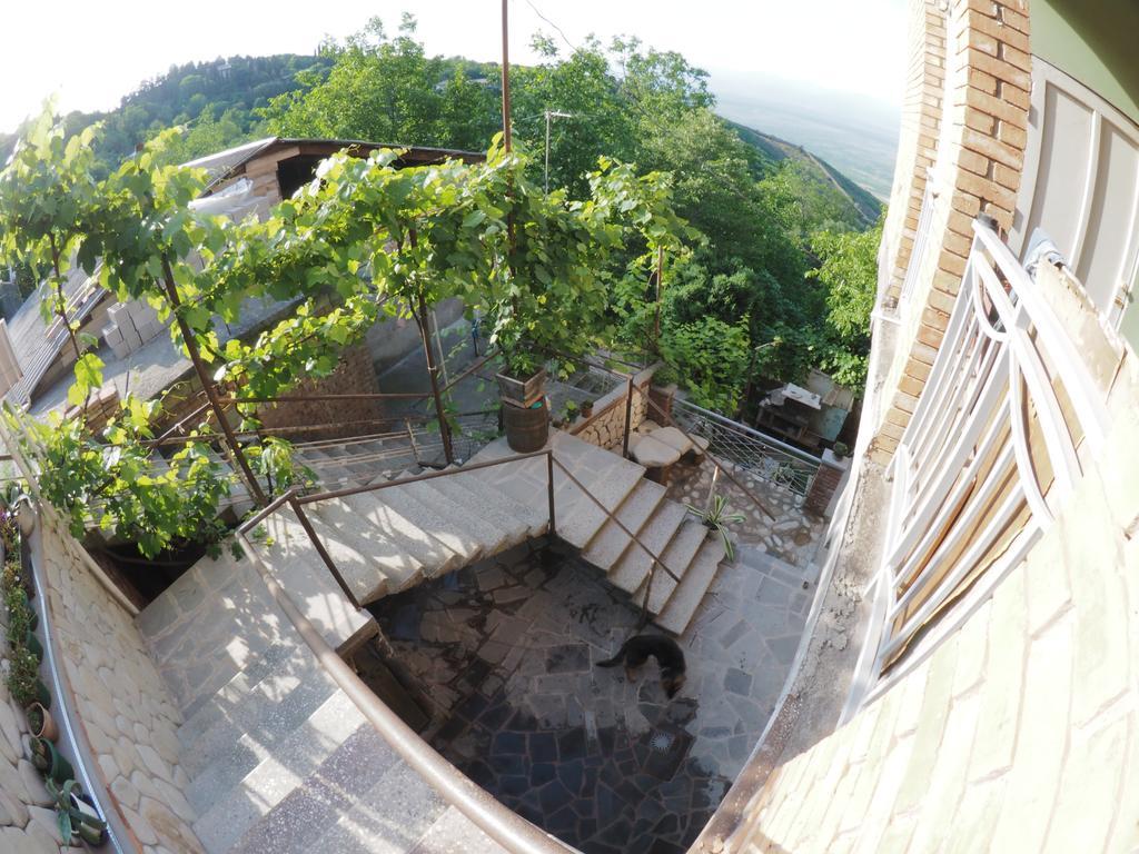 Zandarashvili Guest House Sighnaghi Extérieur photo