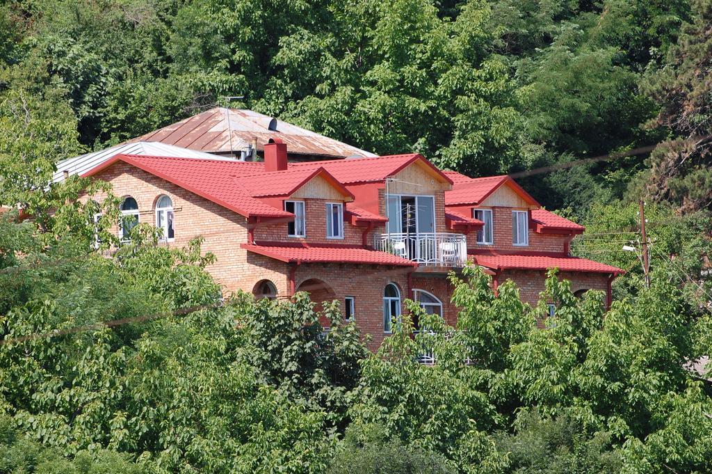 Zandarashvili Guest House Sighnaghi Extérieur photo