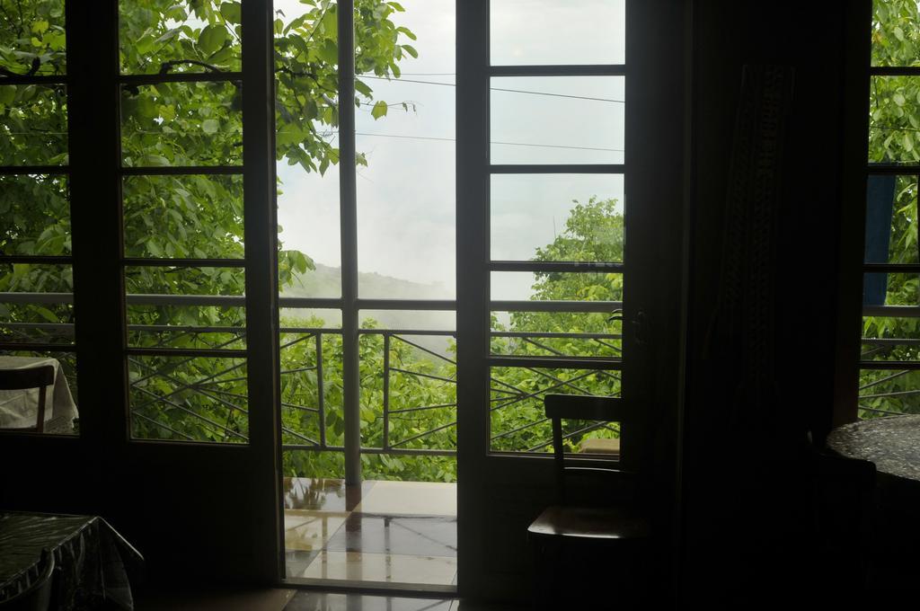 Zandarashvili Guest House Sighnaghi Extérieur photo