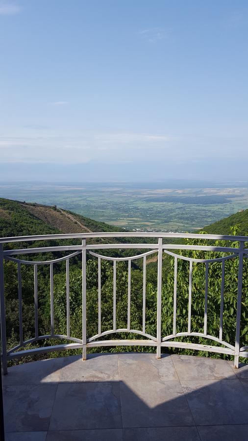 Zandarashvili Guest House Sighnaghi Extérieur photo